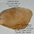 الصورة الأولى