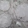 First Image