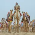 الصورة الأولى