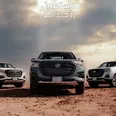 الصورة الأولى