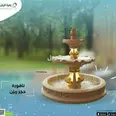 الصورة الأولى