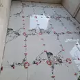 First Image
