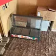 الصورة الأولى