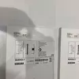 First Image