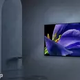 First Image
