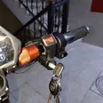 الصورة الأولى