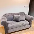 First Image