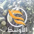 الصورة الأولى