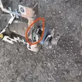 First Image