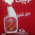 الصورة الأولى