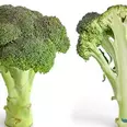 First Image
