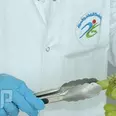 الصورة الأولى