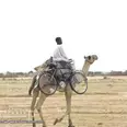 الصورة الأولى