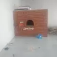 الصورة الأولى