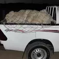 الصورة الأولى