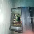 First Image