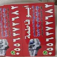 الصورة الأولى