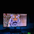 First Image