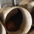 First Image