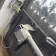 First Image
