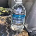 الصورة الأولى