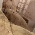 الصورة الأولى