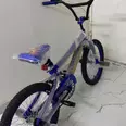 الصورة الأولى