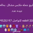 الصورة الأولى