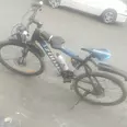 الصورة الأولى
