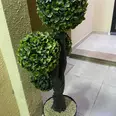 الصورة الأولى