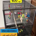الصورة الأولى