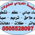 الصورة الأولى