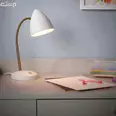 الصورة الأولى