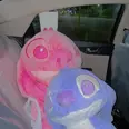 First Image