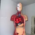 الصورة الأولى