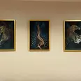 الصورة الأولى