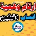 الصورة الأولى