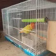 الصورة الأولى