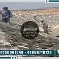 الصورة الأولى