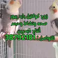 الصورة الأولى