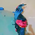 الصورة الأولى