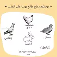 الصورة الأولى