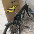 الصورة الأولى