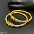 الصورة الأولى