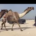 الصورة الأولى