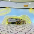 الصورة الأولى