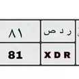 الصورة الأولى