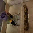 الصورة الأولى