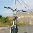 الصورة الأولى
