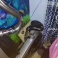 الصورة الأولى